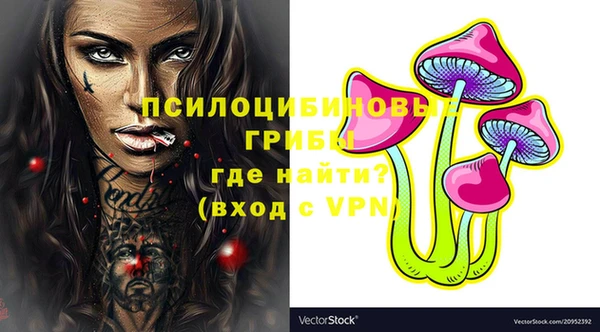 крисы Арсеньев